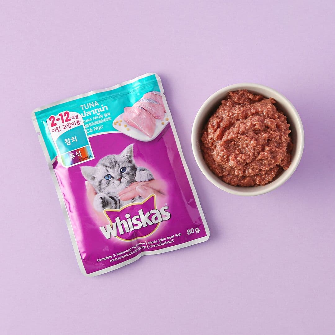 위스카스 캣 참치 주니어 파우치 80g
