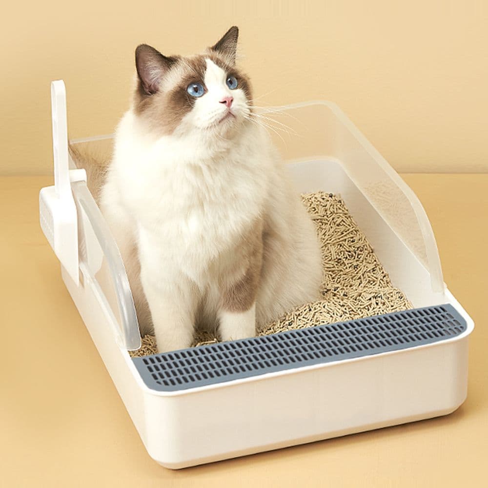 반려일상 고양이 최종변기