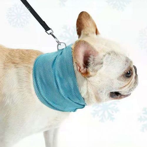 [예펫코리아] 예펫 강아지 고양이 여름 목 아이스 냉동 쿨 스카프