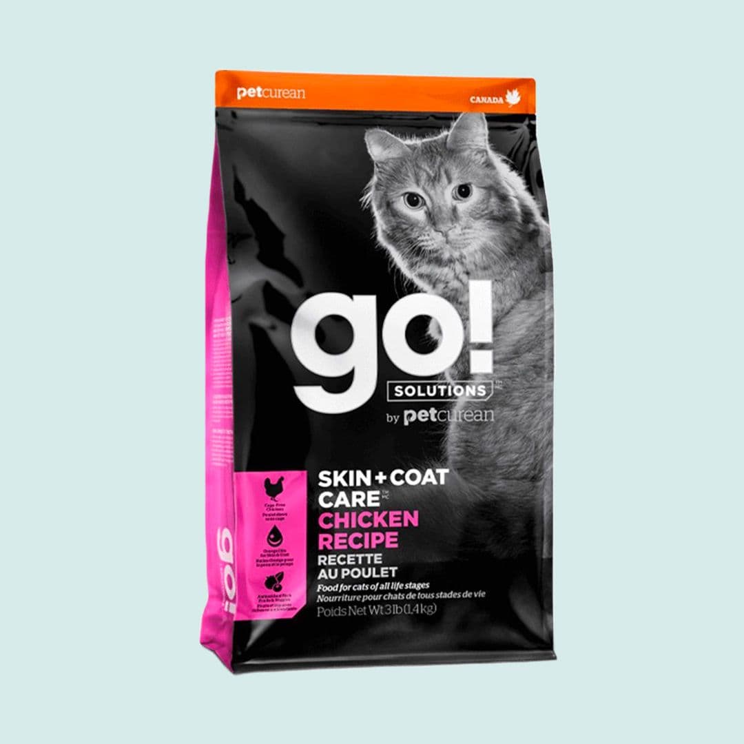 [사료샘플] go! 캣 솔루션 스킨&amp;코트 치킨 레시피 40g