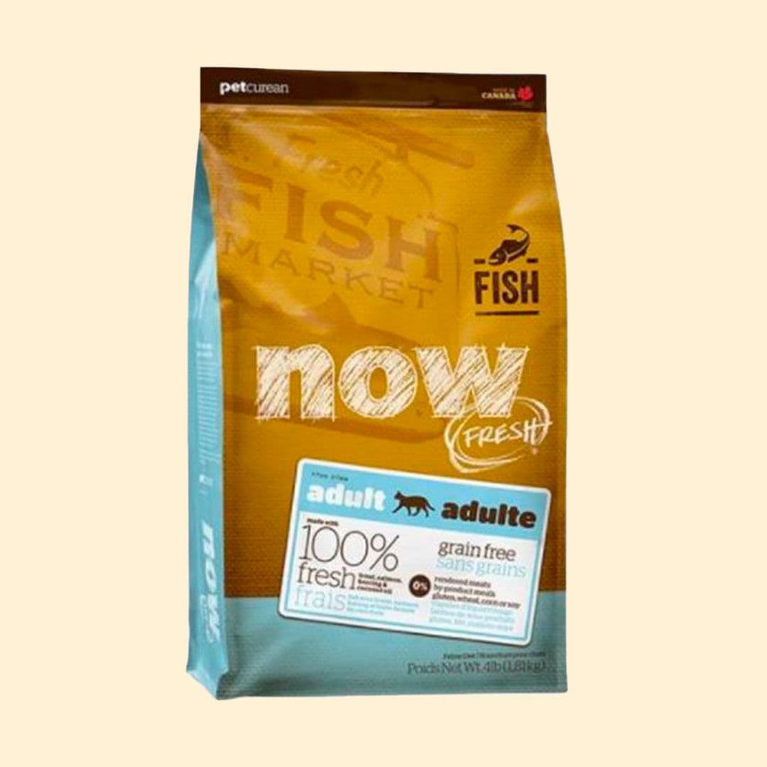 [사료샘플] now 캣 그레인프리 피쉬 어덜트 50g