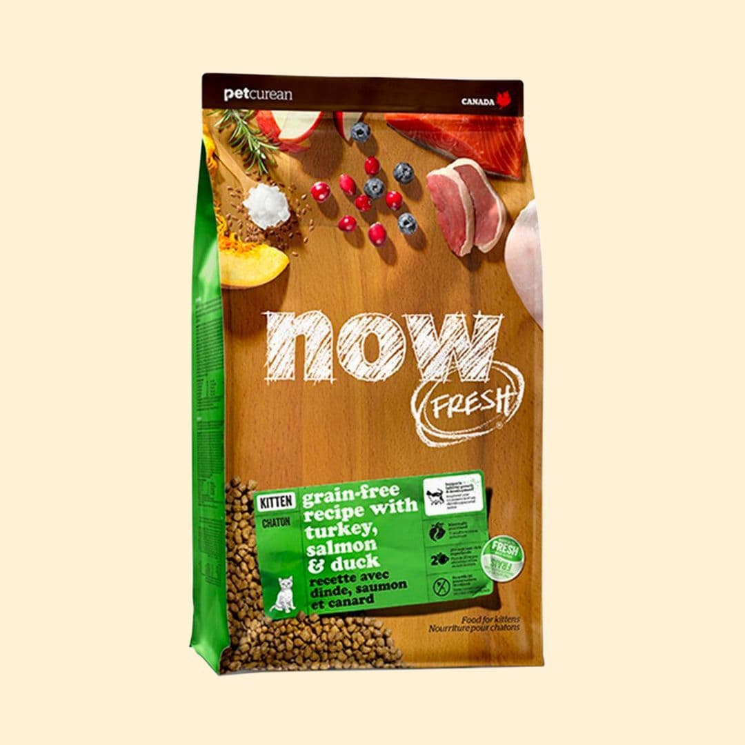 [사료샘플] now 캣 프레쉬 그레인프리 키튼 40g