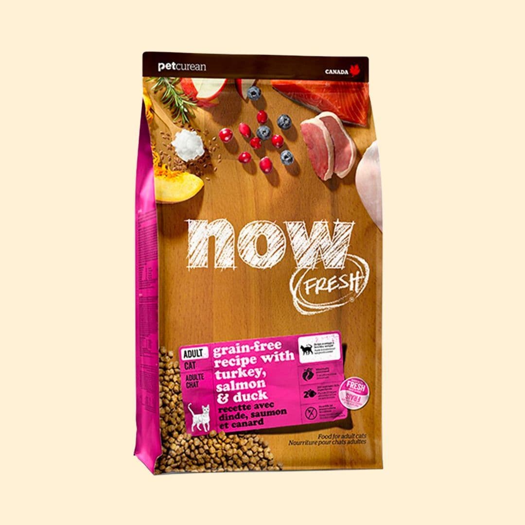 [사료샘플] now 캣 프레쉬 그레인프리 어덜트 50g