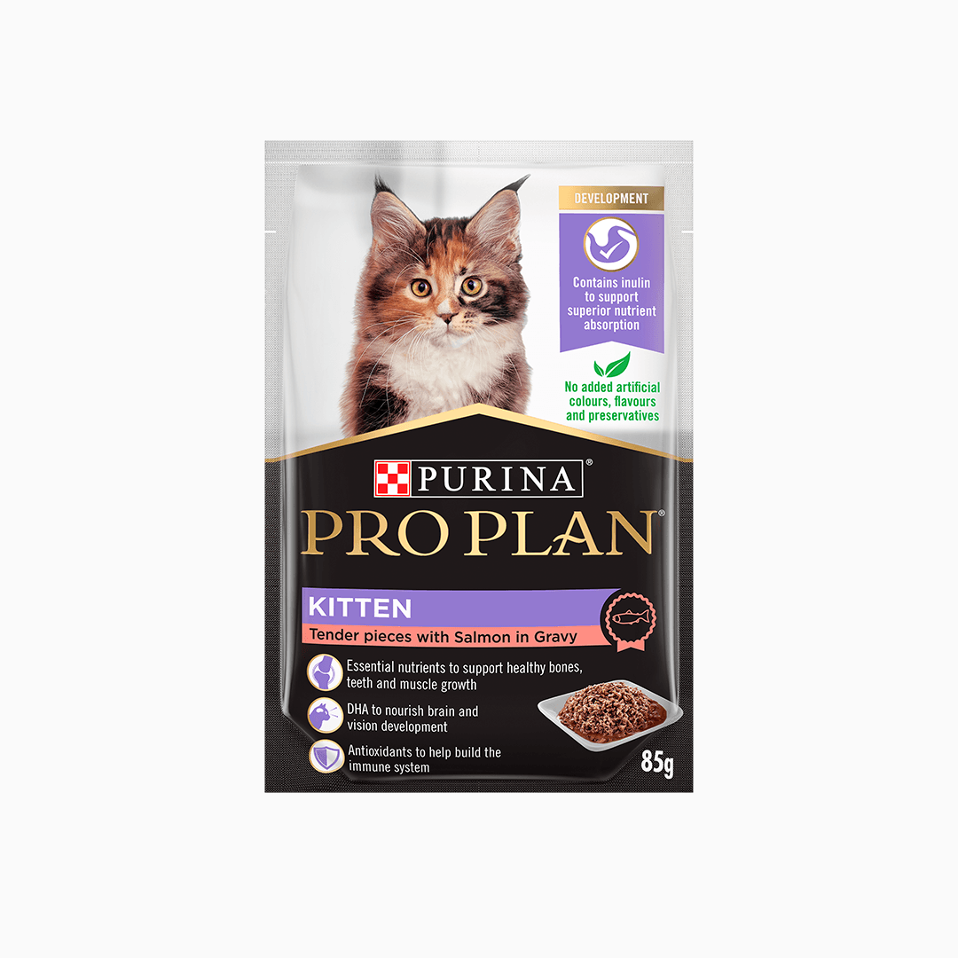 퓨리나 캣 프로플랜 파우치 키튼 연어 85g