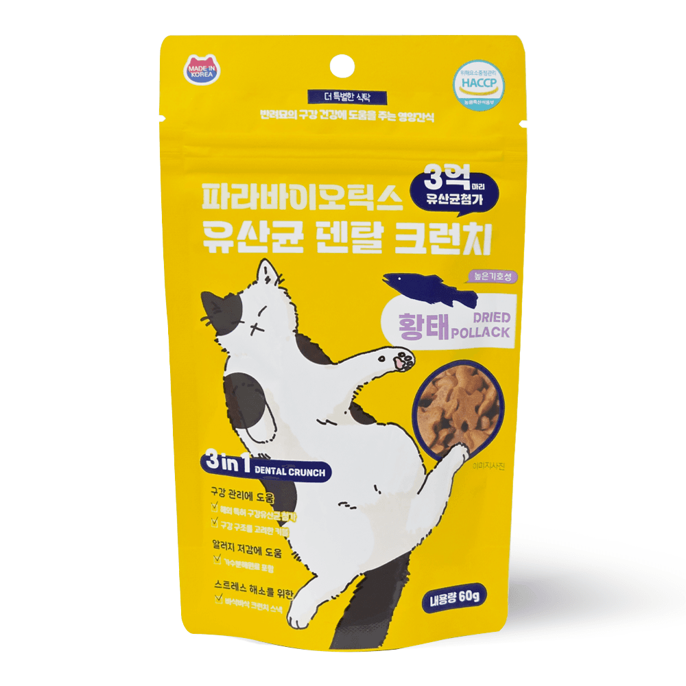 더 특별한 식탁 푸디 더특별한식탁 고양이 프로바이오틱스 유산균 덴탈 크런치 60g (황태)