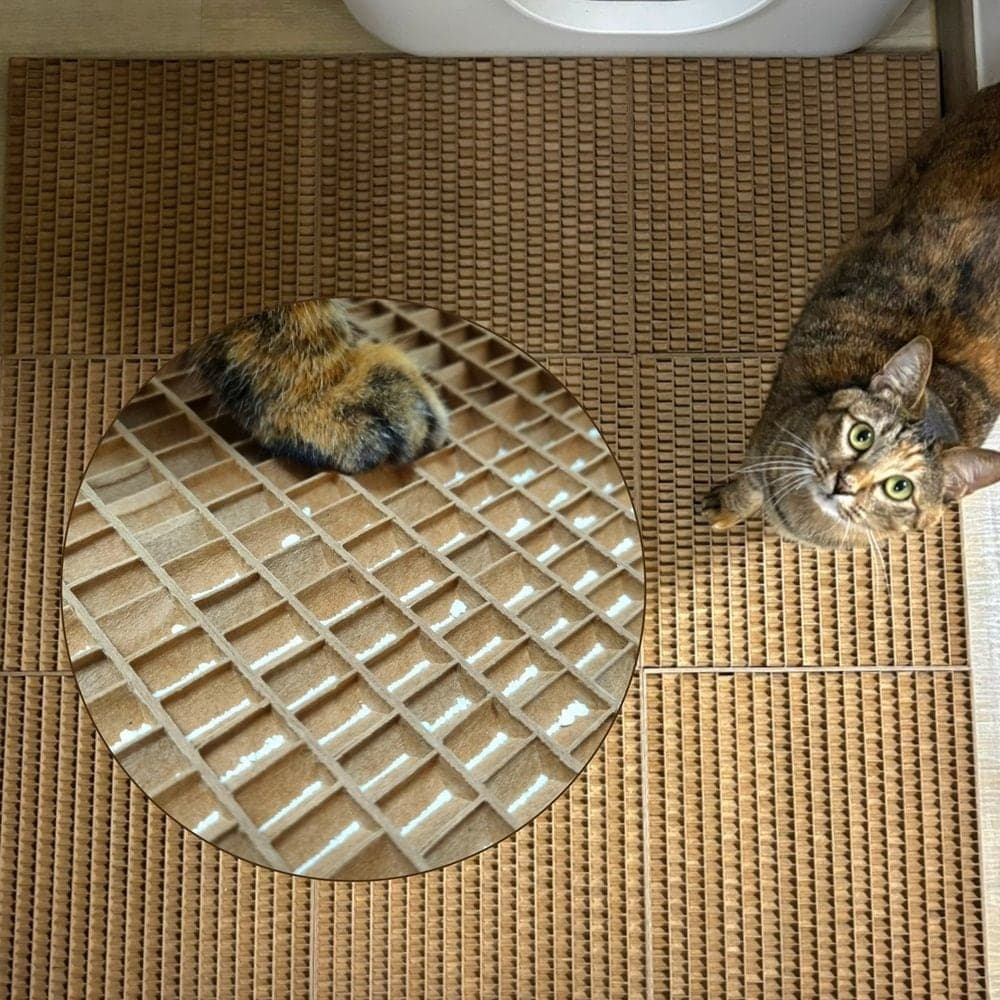 캣츠크라프트 고양이 화장실 사막화방지 모래매트