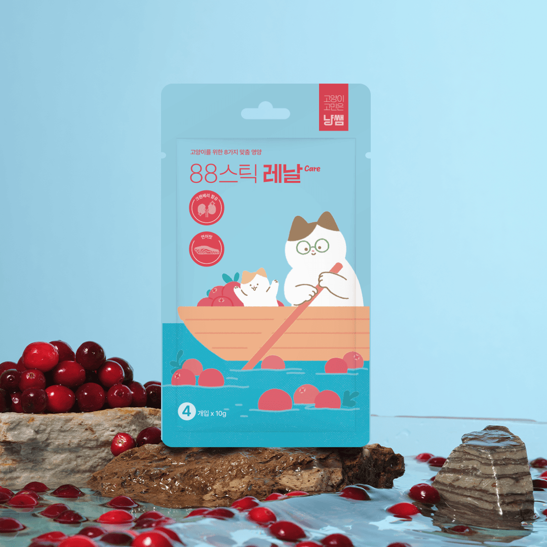 냥쌤 캣 88스틱 레날케어 10g*4p