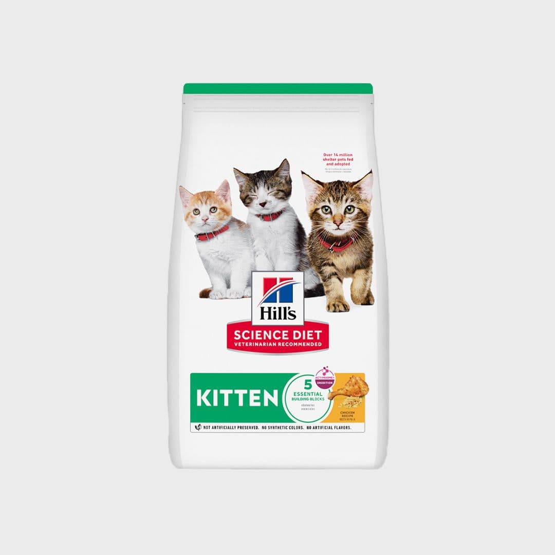 힐스 캣 키튼 치킨 540g