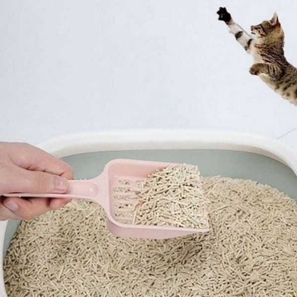 한 고양이 모래 삽 플라스틱 고양이 배변 삽 화장실 청소