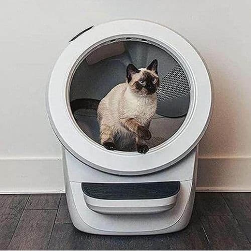 고양이 화장실 자동 하우스형 리터 로봇 3세대 4세대 활성탄 필터 냄새 제거 패드 포함