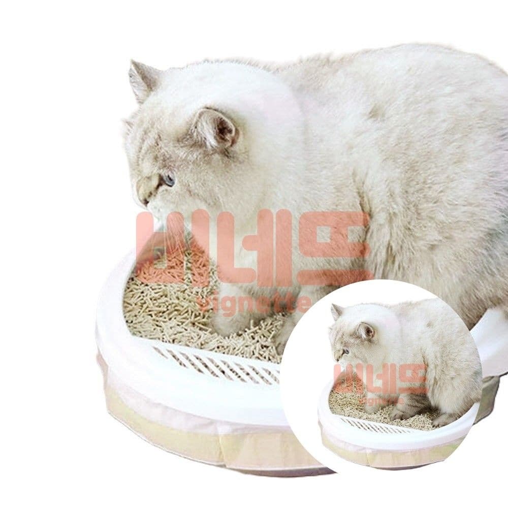 고양이 3롤 세트 104X45CM 고양이똥쓰레기통 고양이쓰레기통 냥이화장실