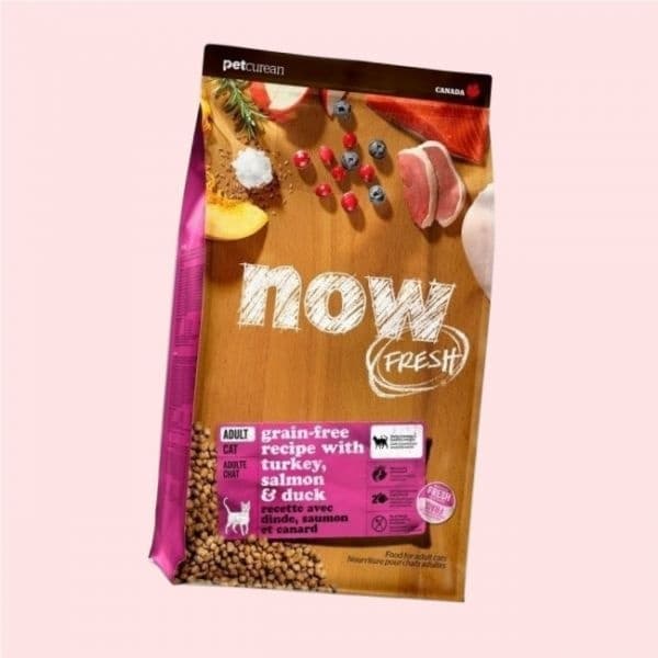나우(펫푸드) 나우 NOW 그레인프리 캣 어덜트 3.6kg + 동종샘플400g 4736019