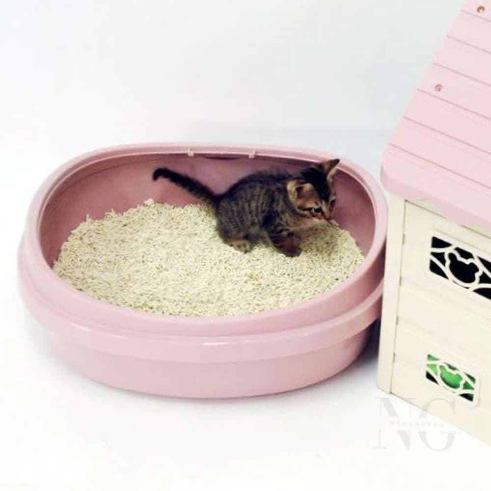 고양이 화장실 소형 인디핑크 아기고양이 고양이배변통 고양이변기