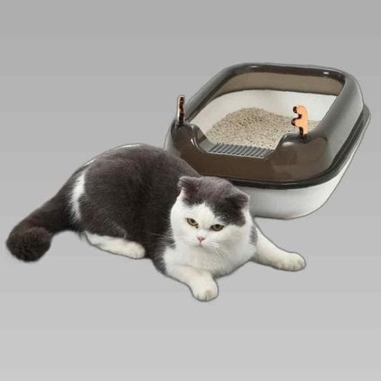 벌집 고양이 발판 매트 모래매트 멀티