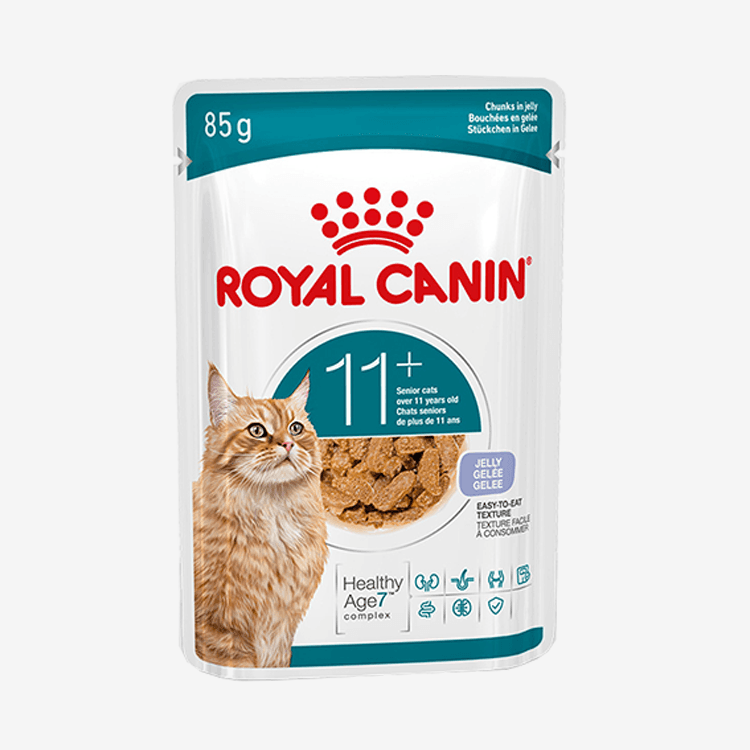 로얄캐닌 캣 에이징 11+ 파우치 젤리 85g 노령묘