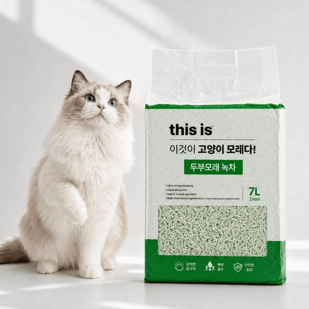 디스이즈 두부모래 녹차 7L