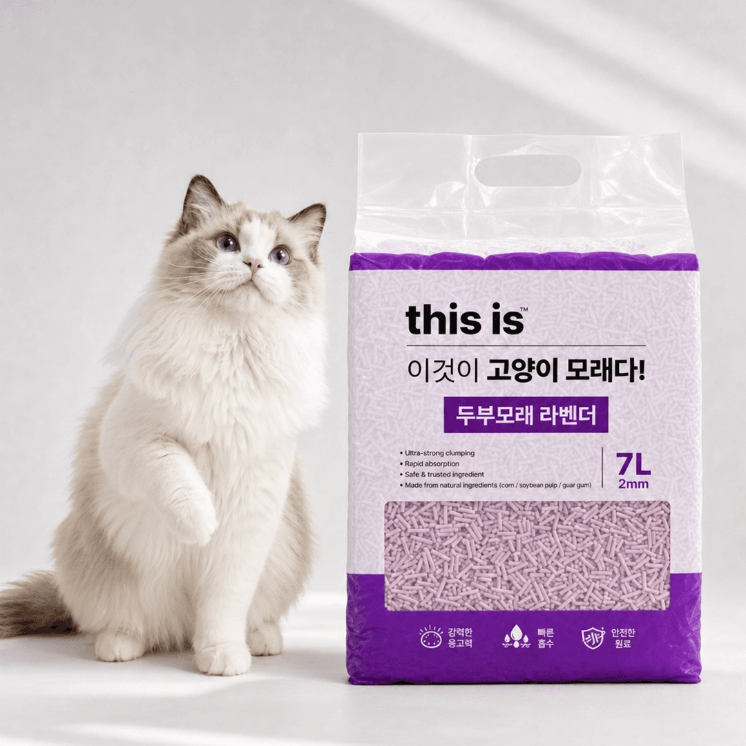 디스이즈 두부모래 라벤더 7L