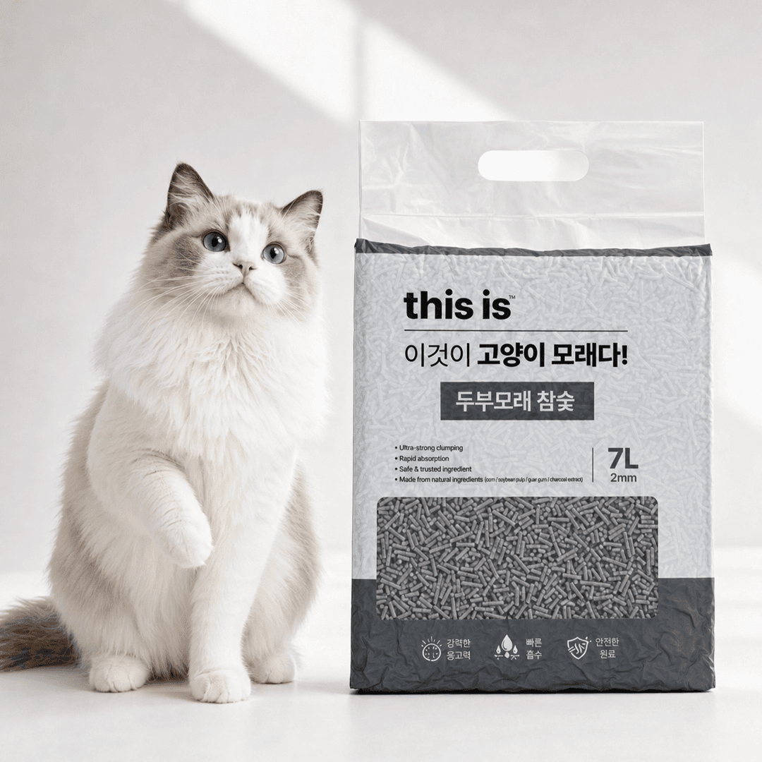 디스이즈 두부모래 참숯 7L
